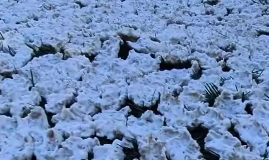 Geleneksel tarhana geleneği Kahramanmaraş'ta sürüyor