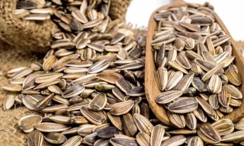 Çekirdek sivilceye neden olur mu? Uzman doktor, sivilce nedenlerini anlattı
