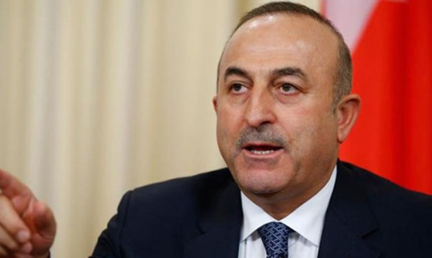 Cezayir'den Dışişleri Bakanı Mevlüt Çavuşoğlu'na Destek