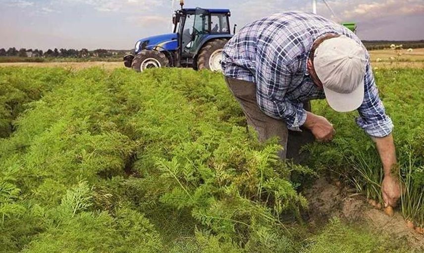 Çiftçiye Müjde! Ekim Ayında Rekor Destek Ödemesi Geliyor