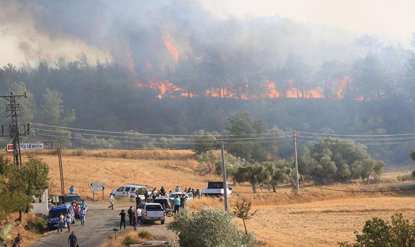 Ciğerlerimiz yanmaya devam ediyor: Bu kez Milas’ta orman yangını