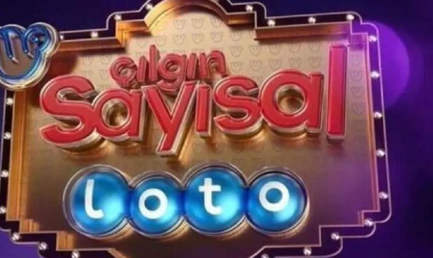 Çılgın Sayısal Loto sonuç sorgulama ekranı 13 Nisan 2022 Çarşamba