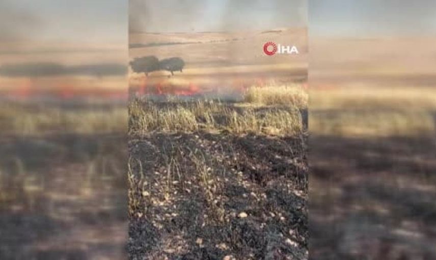 Çınar'da tarlada yangın: 200 dönüm buğday yandı