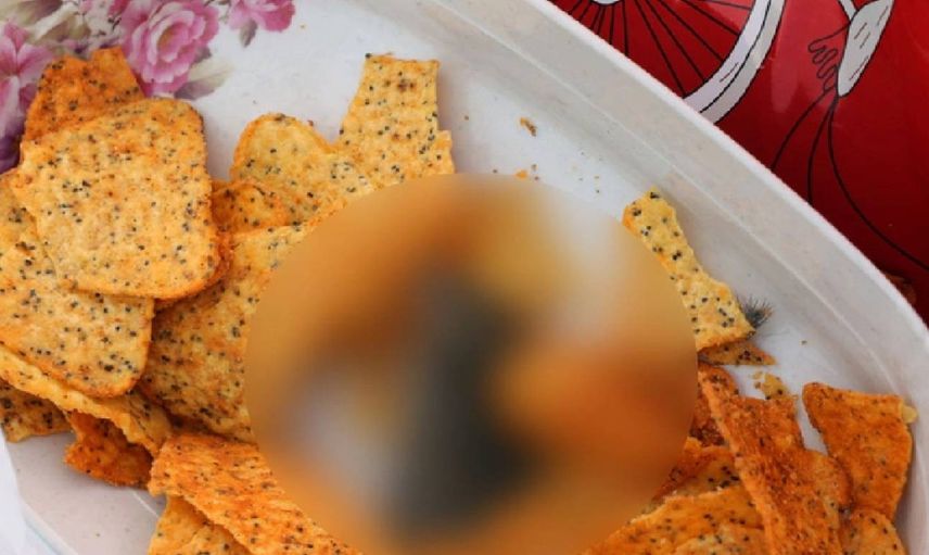 Cipsin içindekini görenler dehşete düşürdü: Tabağa dökünce fark ettiler