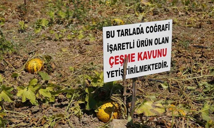 Coğrafi işaret nedir? Coğrafi işaret nasıl alınır? Coğrafi işaretli ürünler listesi