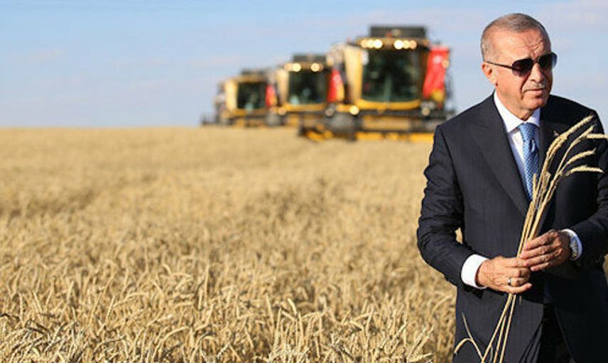 Cumhurbaşkanı Erdoğan'ın 1 Yılını Anlatan Kitap Hazırlandı