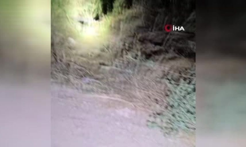Belçika'dan tatil için gelen genç gurbetçi, trafik kazasında hayatını kaybetti