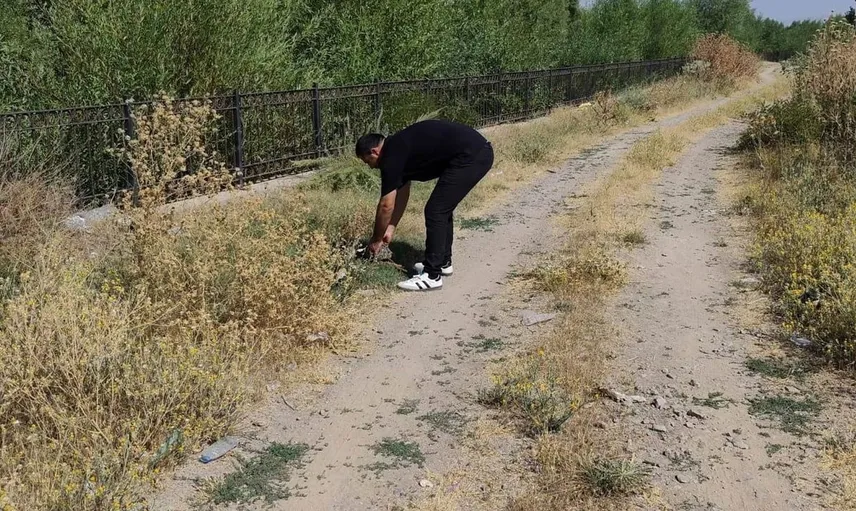 Duyarlı esnafın çağrısı: Kaplumbağa yolda ilerlerken kurtarıldı