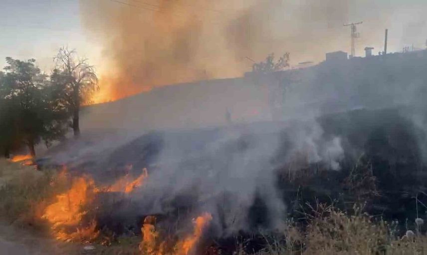 Elazığ'da otluk alanda çıkan yangın kontrol altına alındı