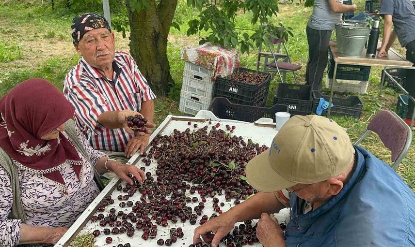 Coğrafi işaretli akşehir ve sultandağı kirazlarında tarihi rekor kırıldı