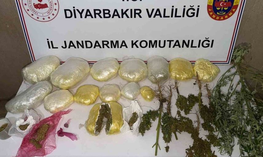 Diyarbakır'da büyük uyuşturucu baskını: 59 bin kök kenevir ele geçirildi