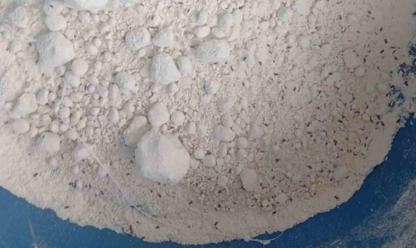 Bartın'da yapılan denetimde 7.5 ton bozuk un ele geçirildi