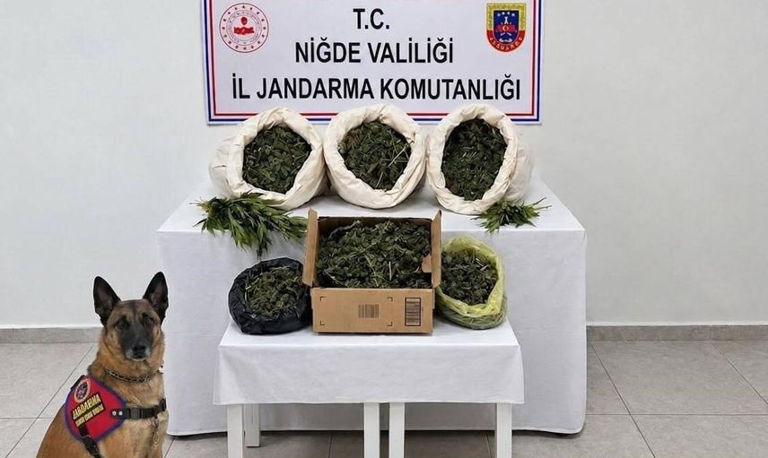 Niğde'de jandarma operasyonunda 10 kilo uyuşturucu ve kenevir ele geçirildi