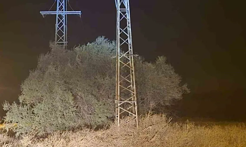 Leyleklerin dönüş yolculuğu, elektrik kesintisine yol açtı