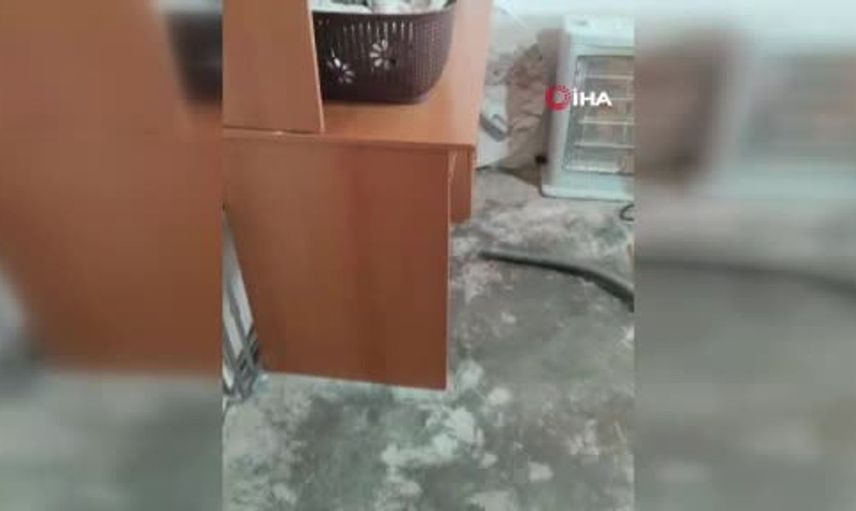 Diyarbakır'da evin yatak odasında 2 metrelik yılan bulundu