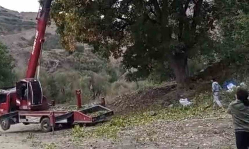 Yüksekova'nın saklı cennetinde ceviz hasadı için vinçli yöntemler tercih ediliyor