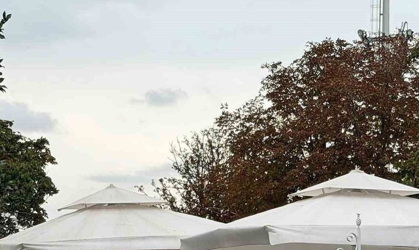 Elit tay müzayedesinde rekor satış: 13 safkan 51,6 milyon TL’ye alıcı buldu