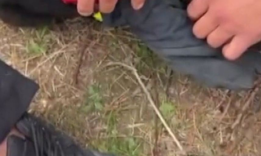 Kayseri'de konserve kutusuna sıkışan kedi, itfaiyenin yardımıyla özgürlüğüne kavuştu