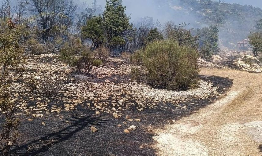 Silifke'de çıkan yangın mahalleleri tehdit etmeden kontrol altına alındı