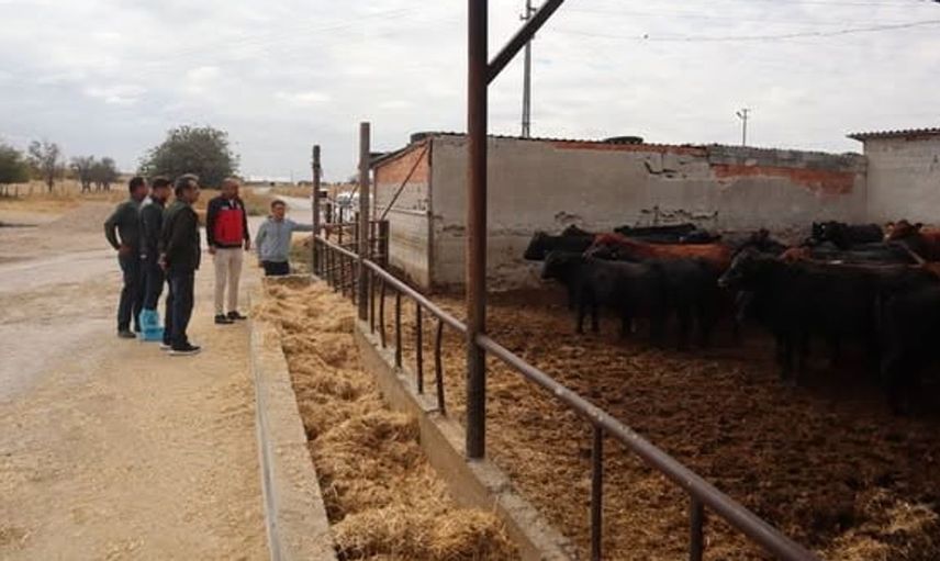 Karapınar'da hayvancılık işletmelerine yönelik kapsamlı inceleme