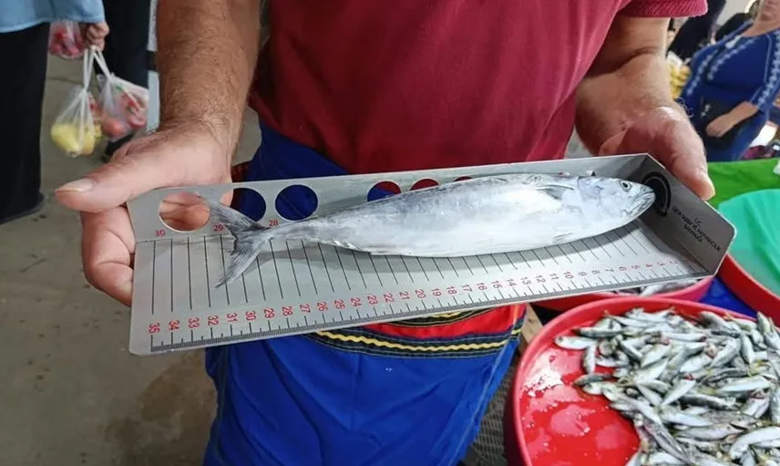 Balıkçılara sıkı denetim: Hayrabolu'da tezgahlar kontrol edildi