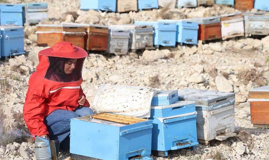 Kendi işinin patronu oldu: Genç arıcı Latife Gül Kaplan'ın başarı hikayesi