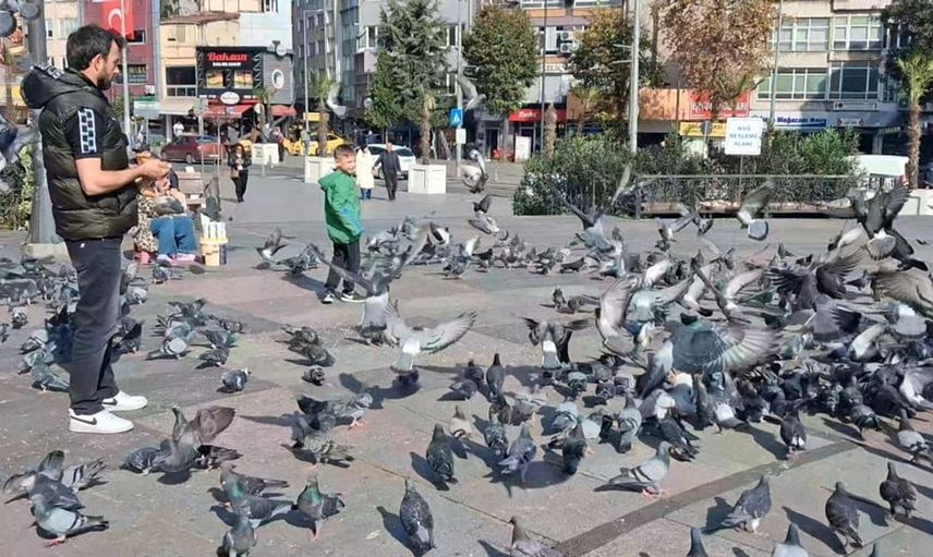Kışın ortasında bahar keyfi: Çorlu'da güneşli günler yaşanıyor