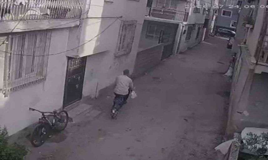 Adana'da kedi maması çalan hırsız, sokak hayvanlarını zor durumda bırakıyor