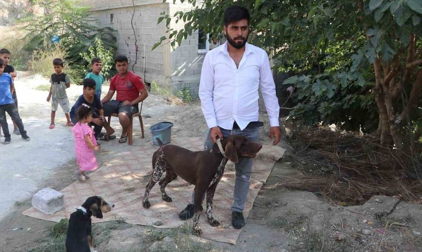 Adana'da komşusunun köpeğe şiddet uyguladığı anlar güvenlik kamerasında kaydedildi