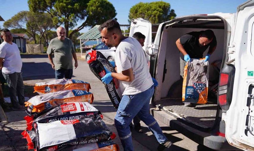 Ayvalık'ta sokak hayvanları için büyük destek: 1 ton mama toplandı