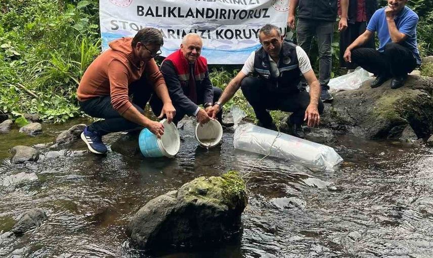 Sera Gölü'ne yapılan balıklandırma ile sazan popülasyonu artırılıyor