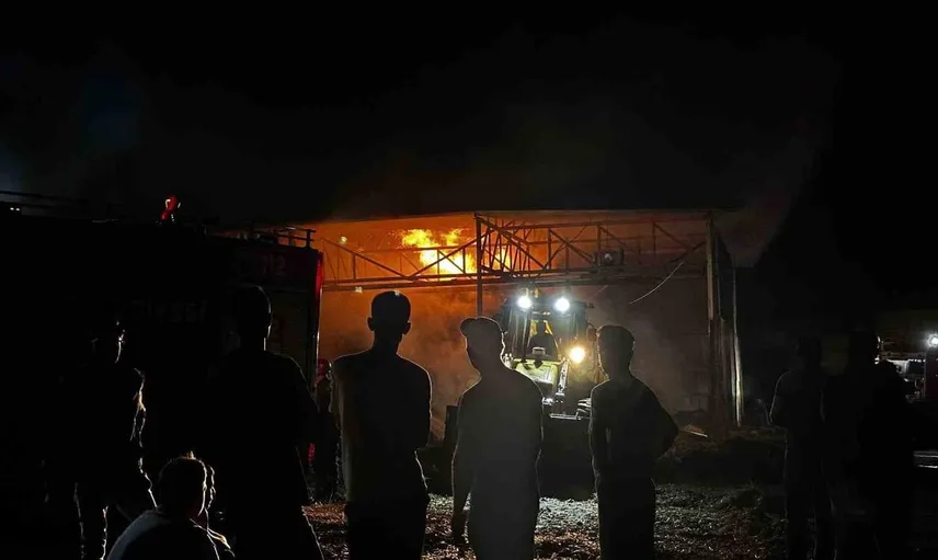 Sakarya'da samanlıkta yangın: Dumandan etkilenen 4 kişi hastaneye kaldırıldı