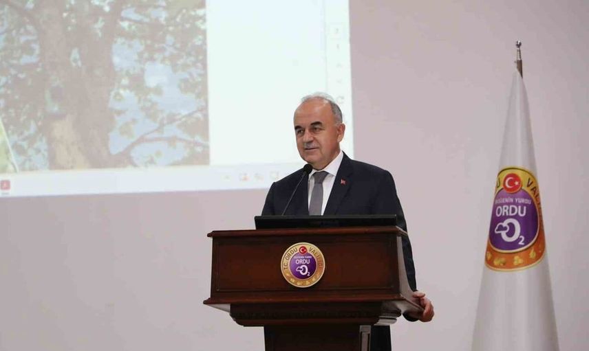 Kahverengi kokarca ile mücadelede yeni stratejiler: 300 bin samuray arısı kullanılıyor