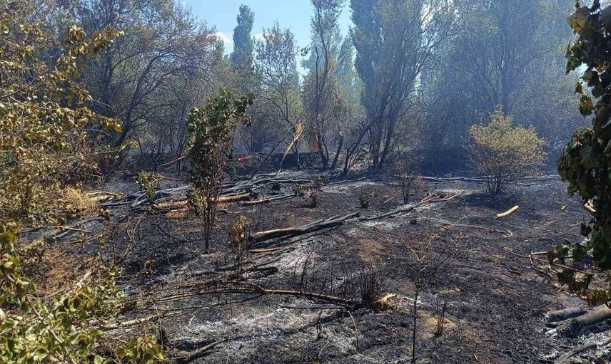 Afyonkarahisar'da ot yangını yerleşim yerlerini tehdit etti