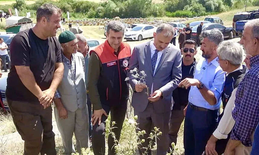 Ağrı'nın coğrafi işaretli geven balında yeni hedefler belirlendi