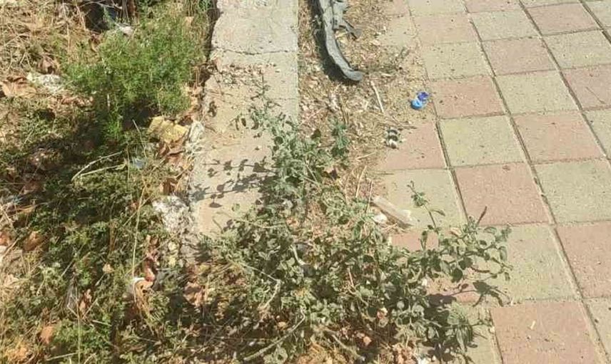 Diyarbakır'da iki aracın çarpışması sonucu 2 kişi yaralandı
