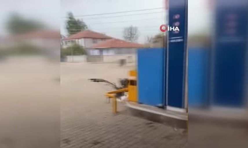 Tokat'ta fırtına ve sağanak günlük yaşamı olumsuz etkiledi