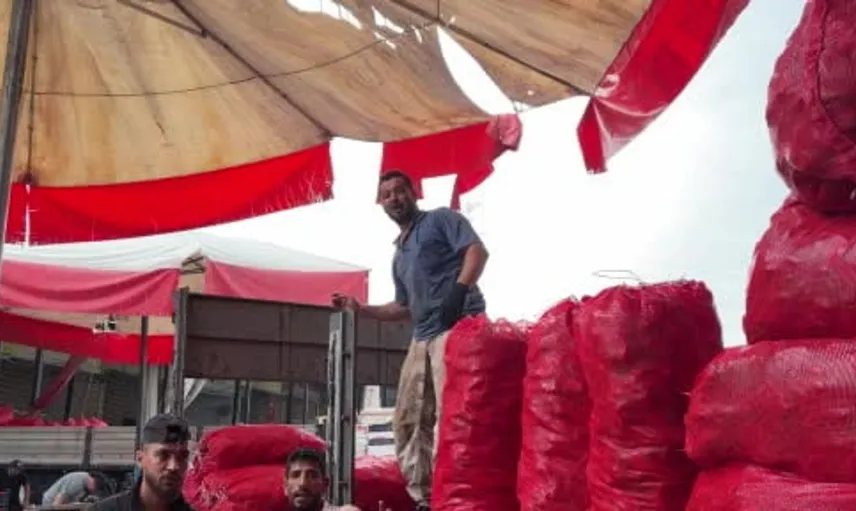 Osmaniye'de kış hazırlıkları hızlandı: Salça ve konserve için yoğun ilgi