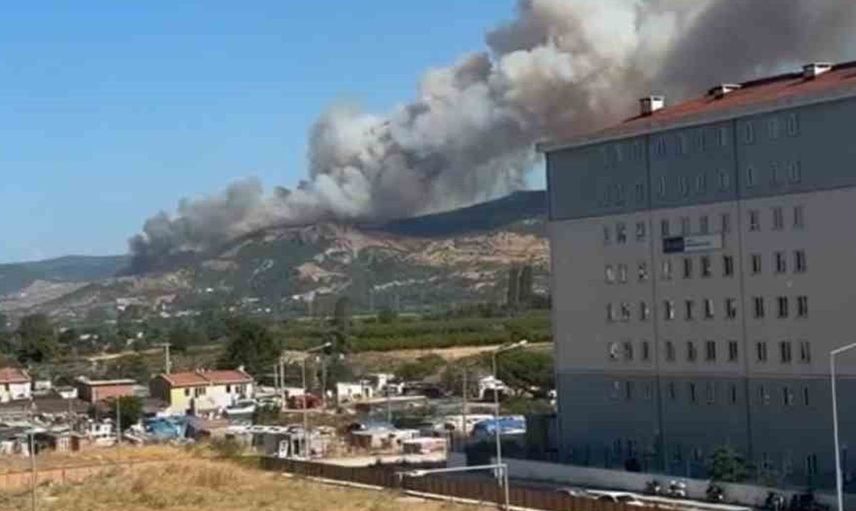 Çanakkale'de orman yangınına havadan ve karadan müdahale