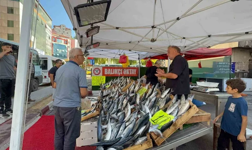 Zonguldak'ta balık sezonu başladı: Palamut fiyatları 100 lira