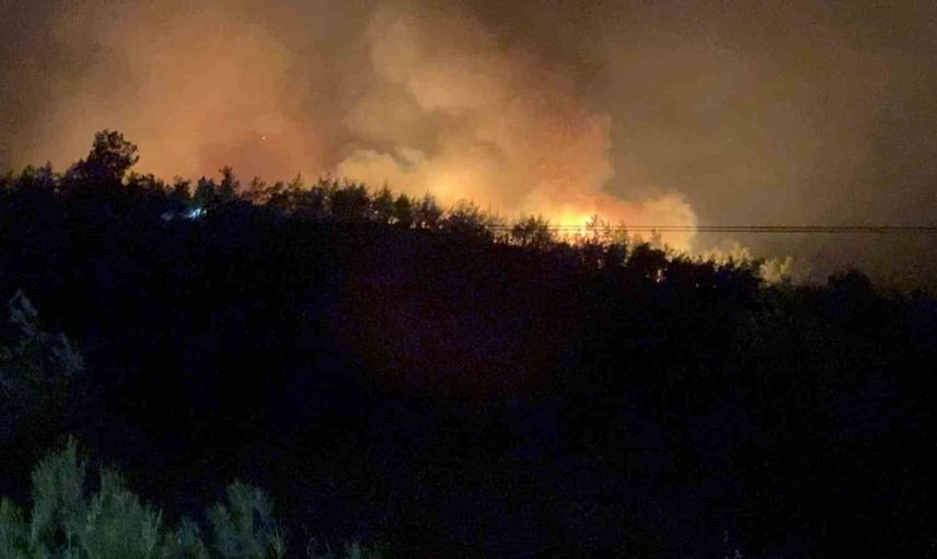 Fethiye'de yeşilüzümlü mahallesinde orman yangını başladı
