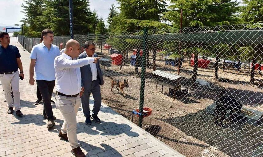 Başkan Hakan Şehirli, hayvan bakım merkezinde can dostlarla buluştu
