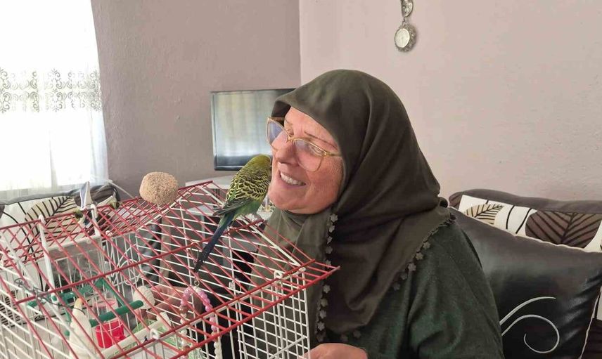 Bir kuşun hayatı değiştiren hikayesi: Fatma Gül Üstfidan'ın dostluğu