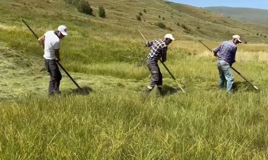 Yağışların etkisiyle tarımsal faaliyetler aksadı: Çiftçiler dayanışma içinde çalışıyor