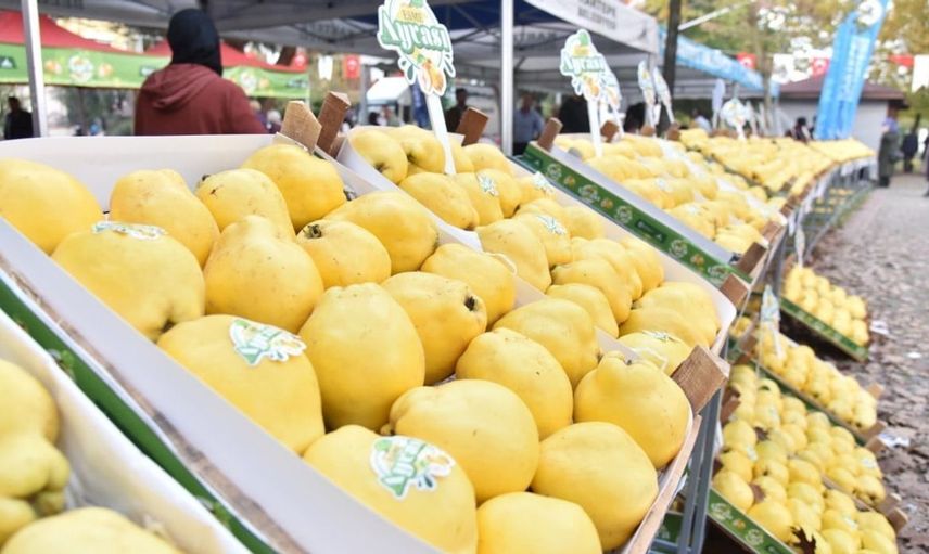 Kartepe ayva festivali, kötü hava koşulları nedeniyle ertelendi