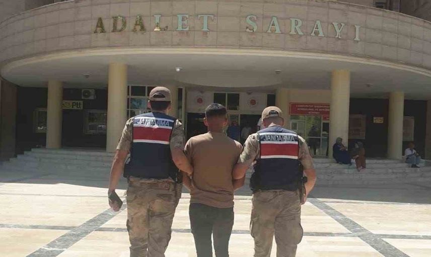 Şanlıurfa'da yakıt hırsızı jandarma operasyonuyla yakalandı
