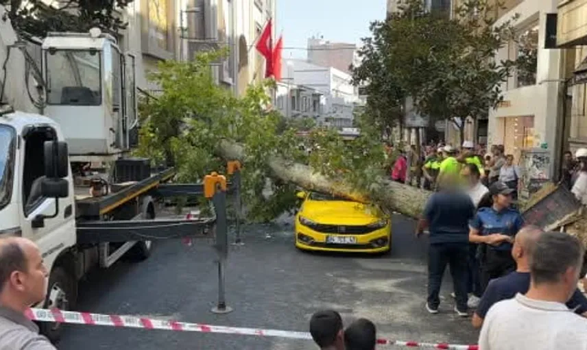 Nişantaşı'nda çınar ağacı bir taksinin üstüne devrildi