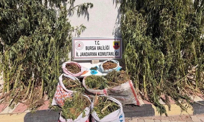 Bursa'da gerçekleştiren jandarma operasyonunda uyuşturucu madde ele geçirildi