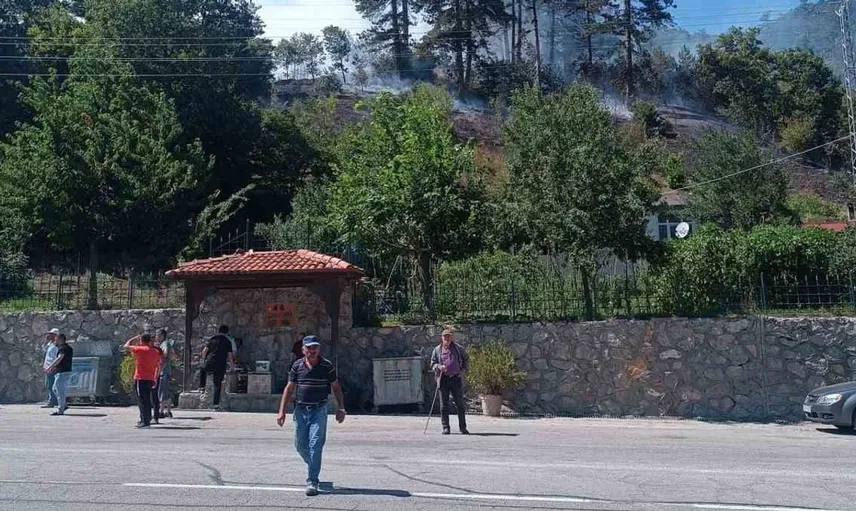 Sinop'taki orman yangınında müdahale devam ediyor