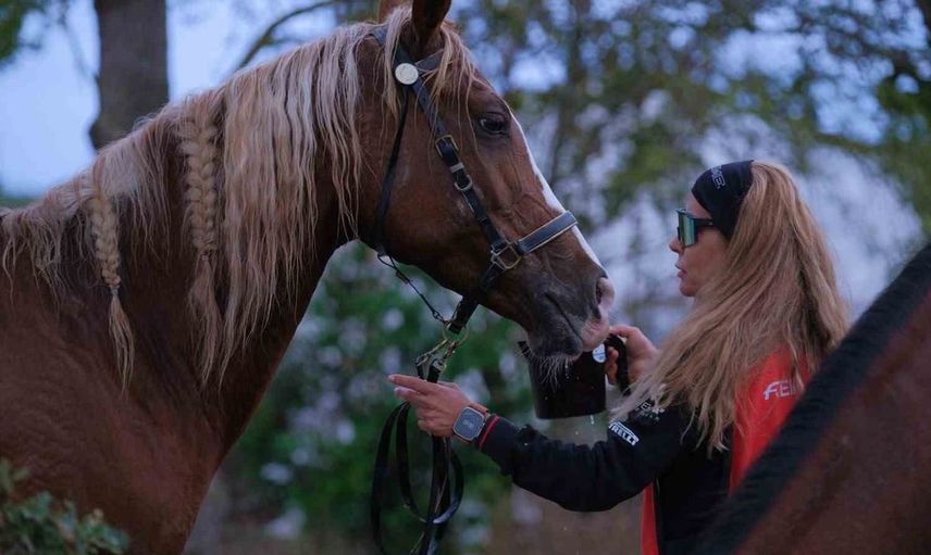 Kocaeli'de 117 binici doğayla iç içe dayanıklılık yarışında bir araya geldi